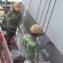 Thách thức chống thấm và các biện pháp khắc phục cho tòa nhà cao tầng